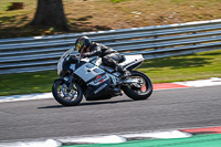 brands-hatch-photographs;brands-no-limits-trackday;cadwell-trackday-photographs;enduro-digital-images;event-digital-images;eventdigitalimages;no-limits-trackdays;peter-wileman-photography;racing-digital-images;trackday-digital-images;trackday-photos